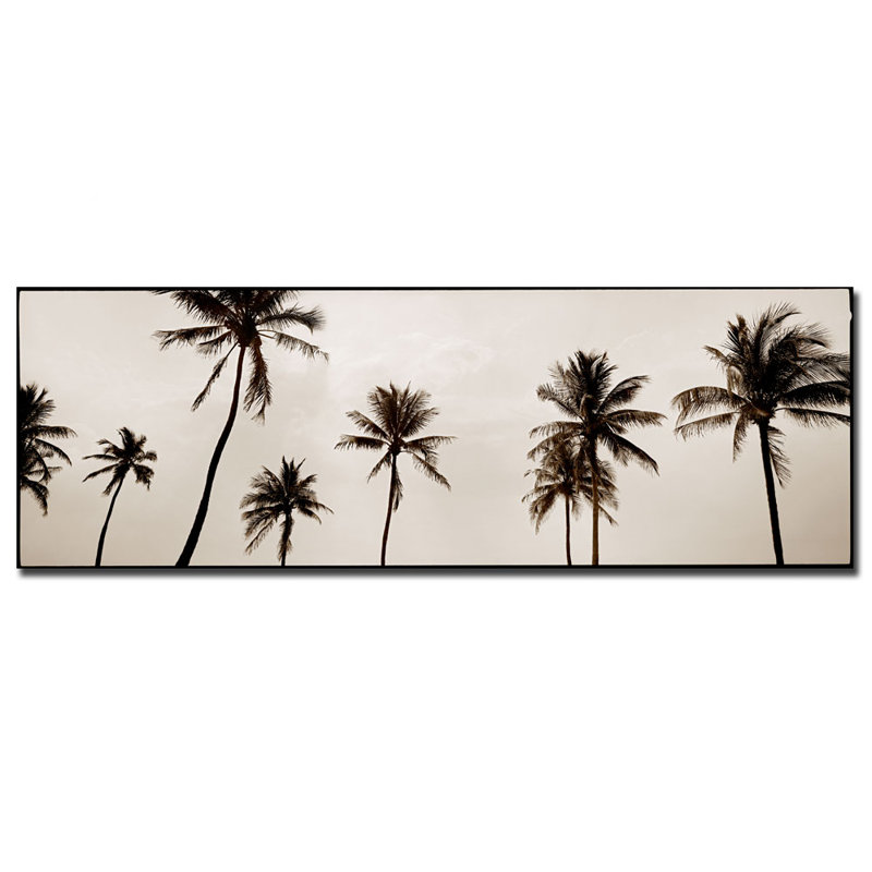 "black & white palms" par preston, reproduction de photo sur toile tendue encadrée, H 10 po x l 32 po x P 2 po