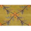 Wool Oriental Rug