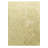 7x10 Parrett Green Rug