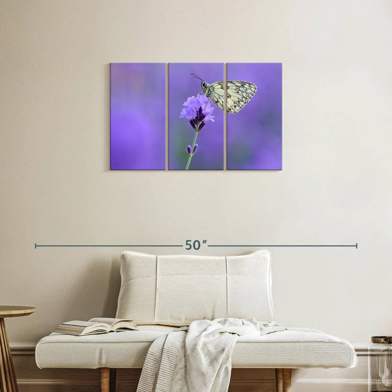 Papillon blanc marbré Brampt, H 20 po x l 33 po