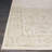 Duckett Abstract Champagne Pearl Performance Area Rug-33090818