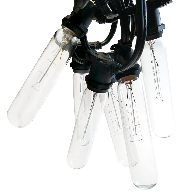 Commercial Edison String Lights Outdoor Plug-in Novelty String Light, Black, 300" L