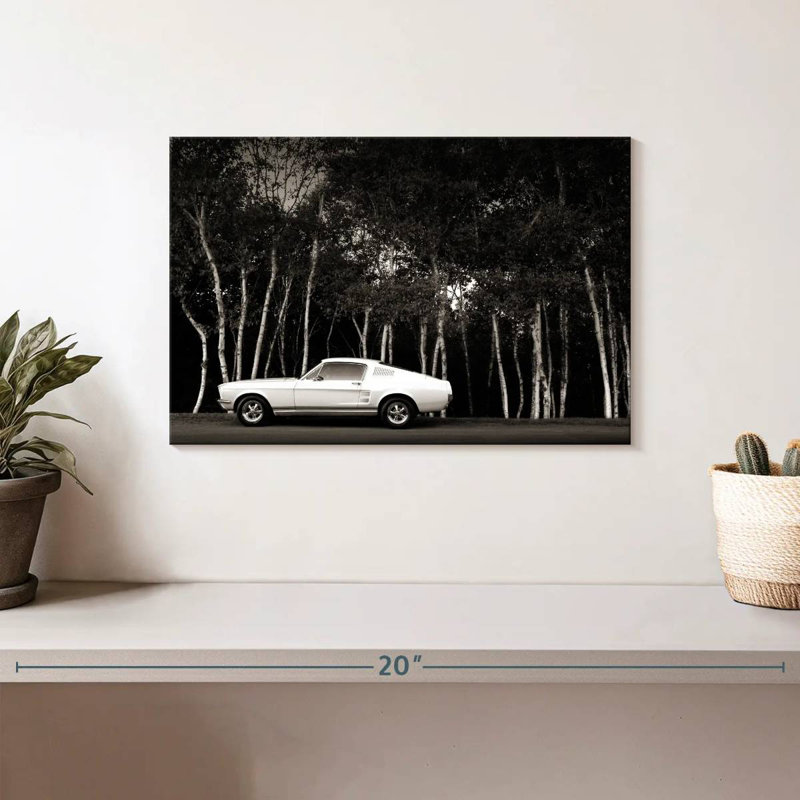 Mehar Black And White Car, 8" H x 12" W