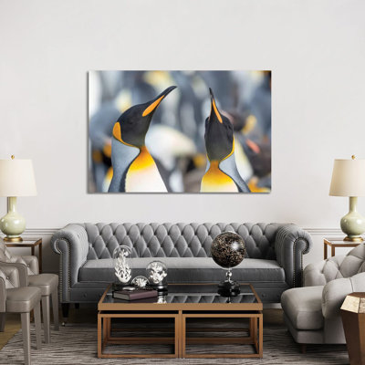 King Penguin, Falkland Islands. by Martin Zwick - Wrapped Canvas Print