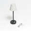 Lampe fantaisie Akosua