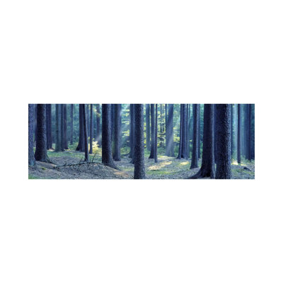 Trees in a Forest, South Bohemia, Czech Republic 1 Piece Wrapped Canvas Panoramic Wall Art