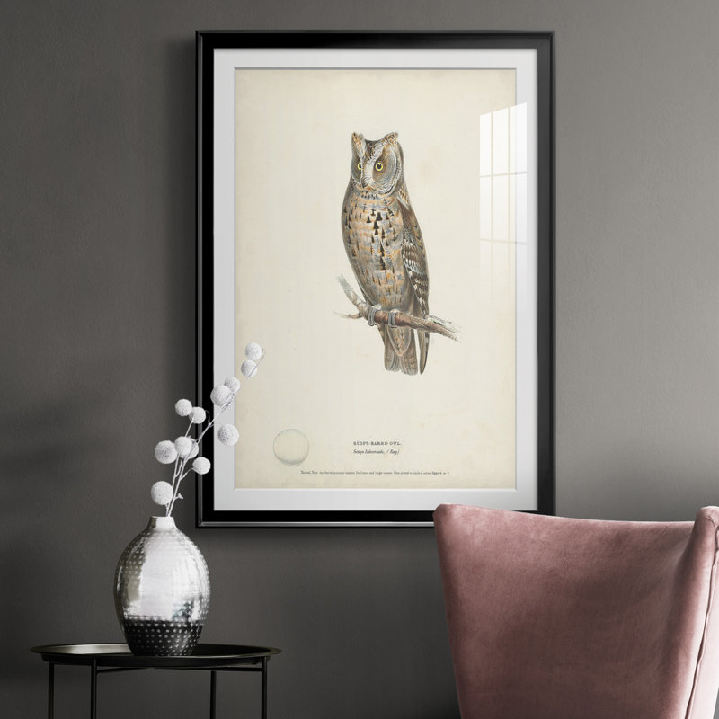" Scops- Eared Owl ", Black, 36.5" H x 26.5" W x 1" D