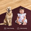 Tapis de couleur unie pour l'intérieur et l'extérieur Whitney Furnish my Place-904312186