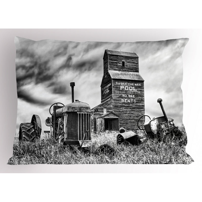 Polyester Sham Set, Queen