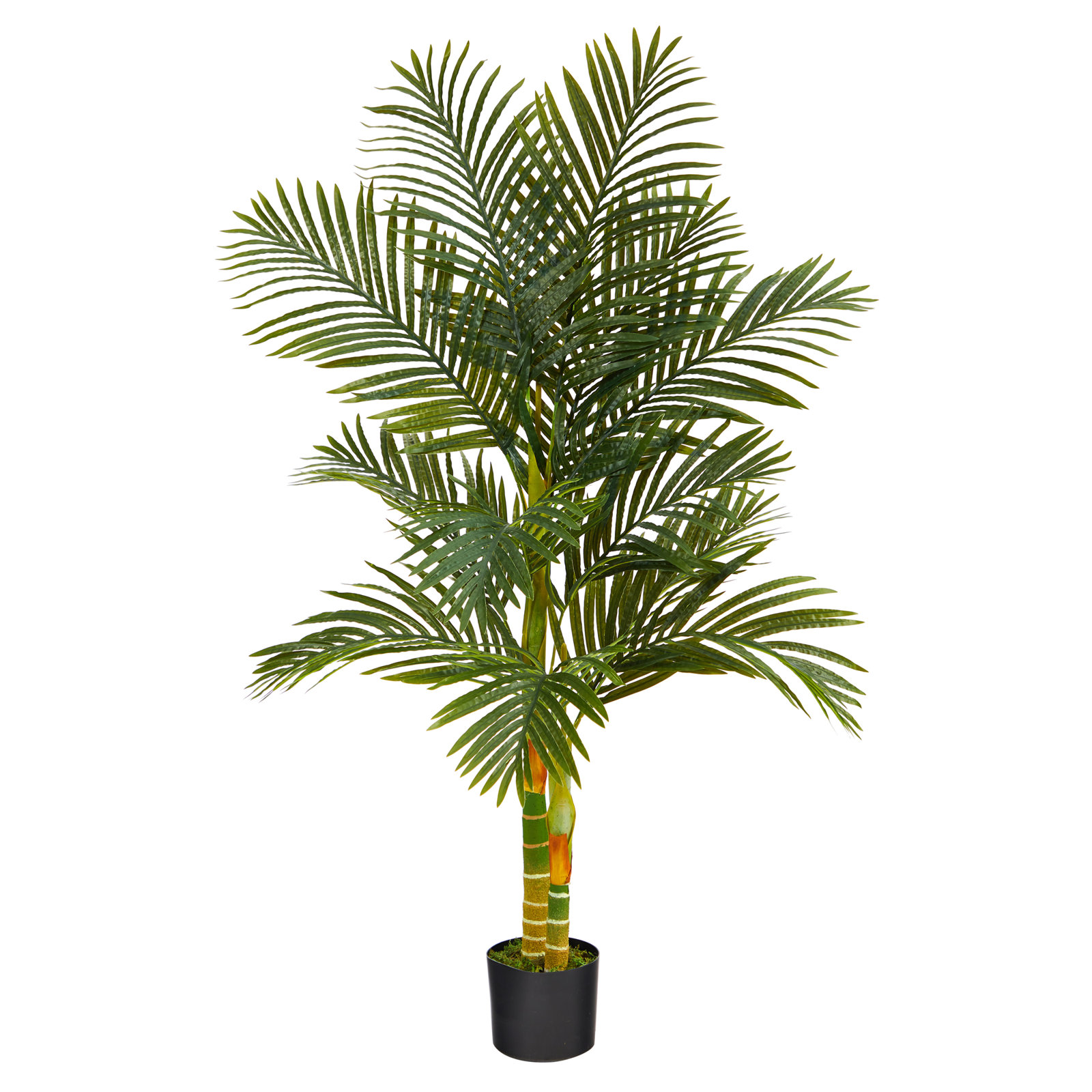 Palm Tree in Planter, 60" H x 24" W x 24" D