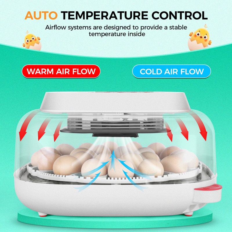 24 couveuses à œufs, 4 modes avec retournement automatique et affichage de l'humidité, bougie à œufs - vue à 360 ° avec fenêtre transparente pour les poussins