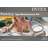 Ensemble d'accessoires pour spa Intex PureSpa avec accessoires 28004E