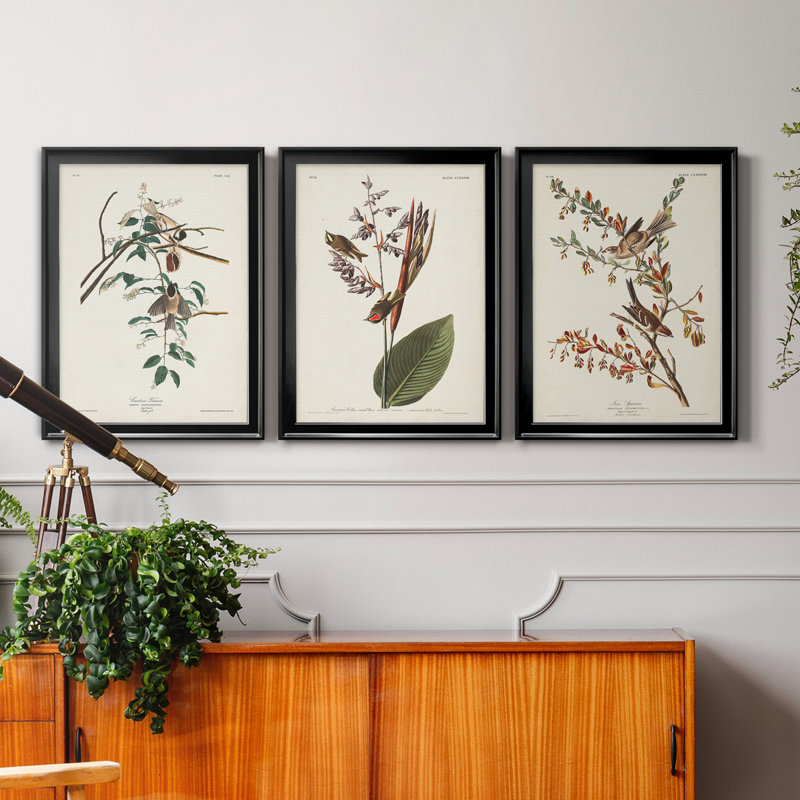 Pl. «160 Carolina Titmouse», ensemble de 3 impressions sur toile encadrées, Toile avec cadre noir