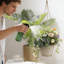 Arrosoir compact pour arrosoir à eau pour l'intérieur-132053058