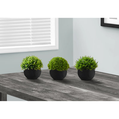 Ensemble de 3 plantes d'intérieur pour plantes d'intérieur, vert luxuriant, 5 pouces