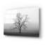 "Velvet Sunrise" par Nicholas Bell, photographie-1457389374