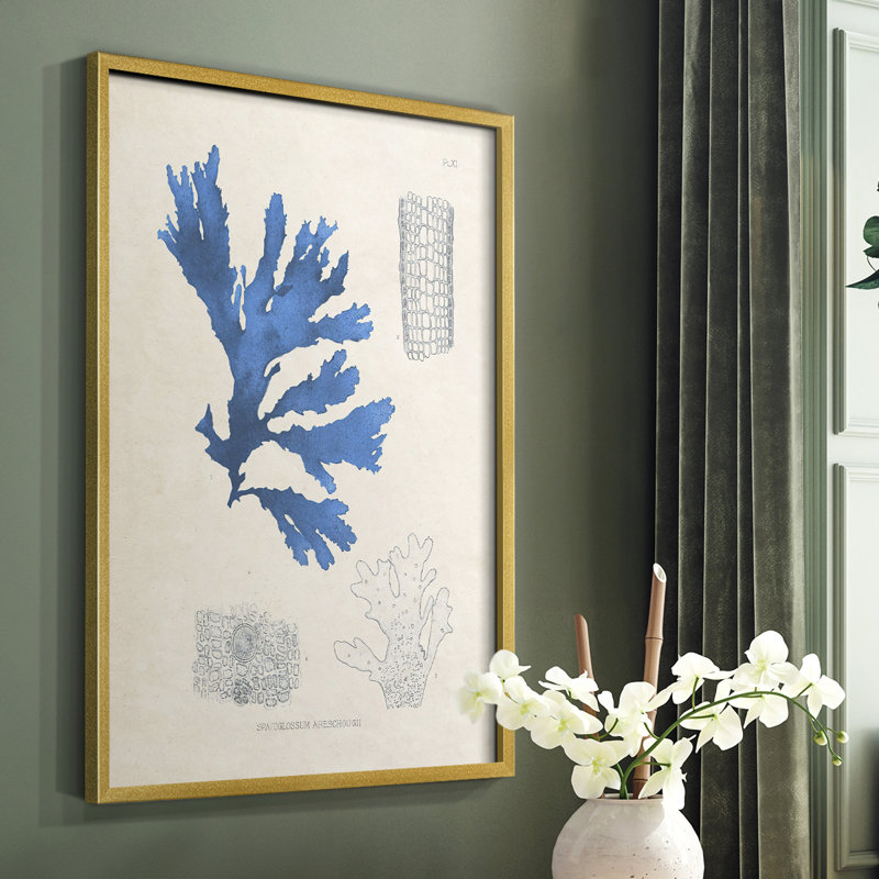 «Blue Marine Algae», reproduction encadrée en bois massif, Or, H 10 po x l 8 po