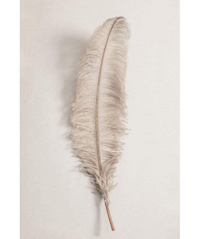 Wrapped Canvas Print, 76.2 cm H x 50.8 cm W