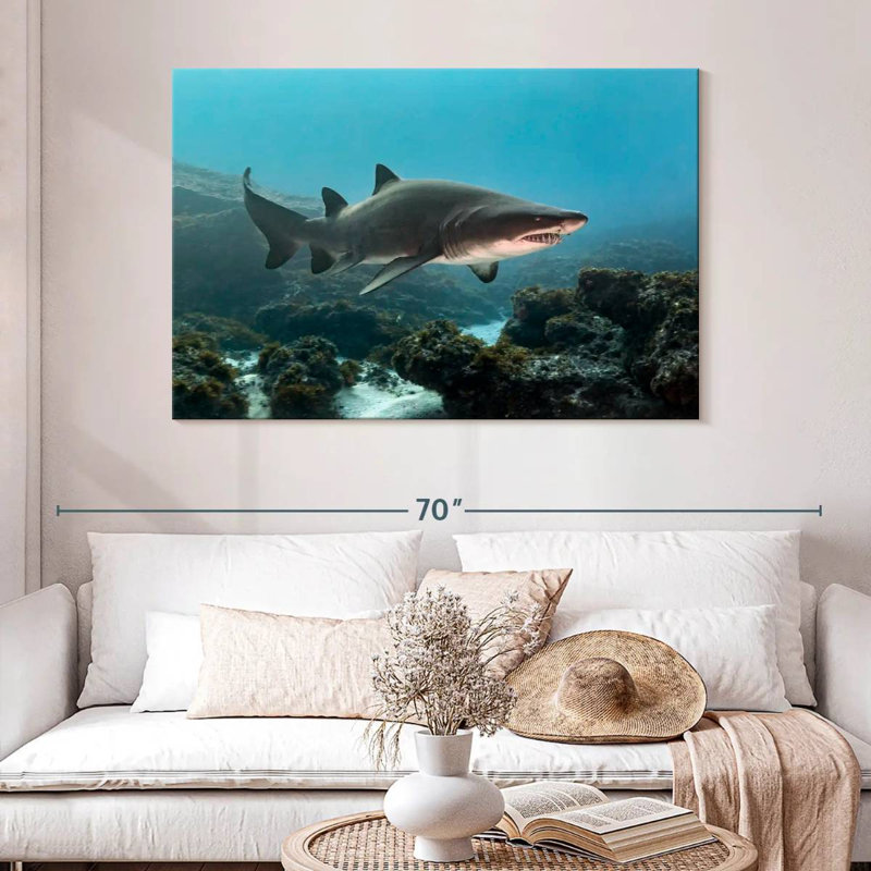 Aliwal Shoal Shark, 32" H x 48" W