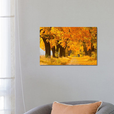 Poland, Jura, Maple Alley II by Mikolaj Gospodarek - Wrapped Canvas Print