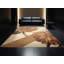 Tapis marocain beige moelleux moelleux et doux à motif fremantle Zinnia-764236408