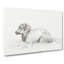 Lying Sheep by Jean Bernard - Wrapped Canvas Print-55365293