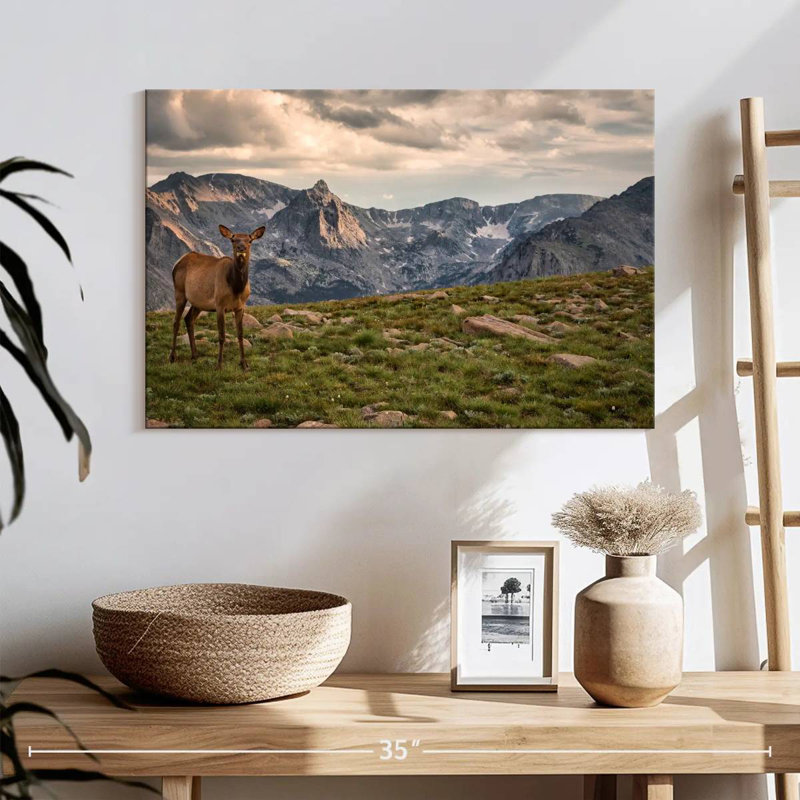 Élan des montagnes Rocheuses Brampt, H 16 po x l 24 po