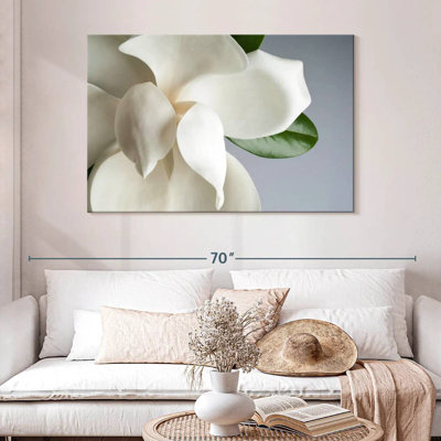 Magnolia blanc Harnek