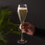 Flûte en cristal 8 oz prosecco Raye