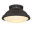2-Light 14-in Dark Bronze Flush Mount-727408546-727408549-727408550
