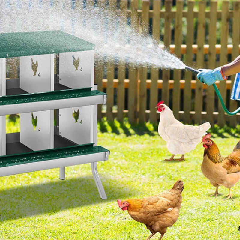 Metal 6-Compartment Chicken Nesting Box – Secure Egg Laying, Easy-Clean Design, Green/White