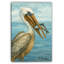 Art mural sur toile Coastal Pelican-415008794