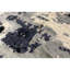 Oriental Area Rug