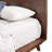 Capricorn Platform Bed-463693761