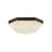 Arlenne Glass Flush Mount-1183116925