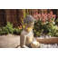 Outdoor Floor Fountain with Lights