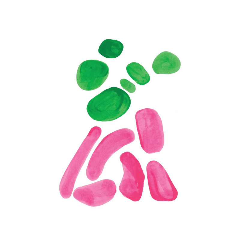 Spring Pebbles by EnShape - Wrapped Canvas Print, 20.32 cm H x 30.48 cm W