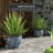 Morawa Handmade Ceramic Cachepot-66331413