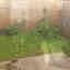 Photos des clients 3 de 3