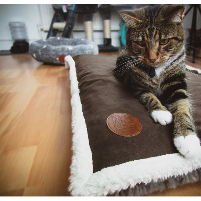 Belanger Pet Bed, 100cm W x 70cm D x 1cm H