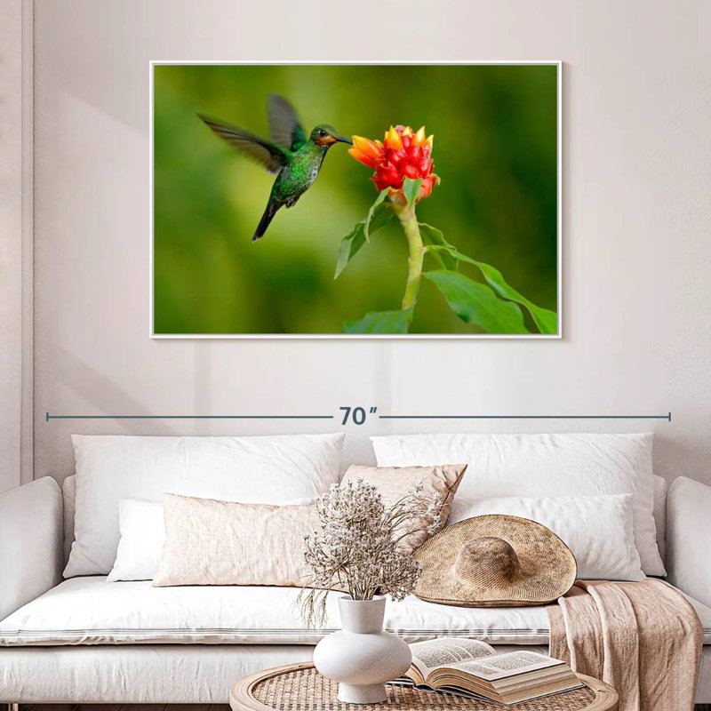 Fleur et colibri vert, Cadre flottant blanc, 46 po x 31 po