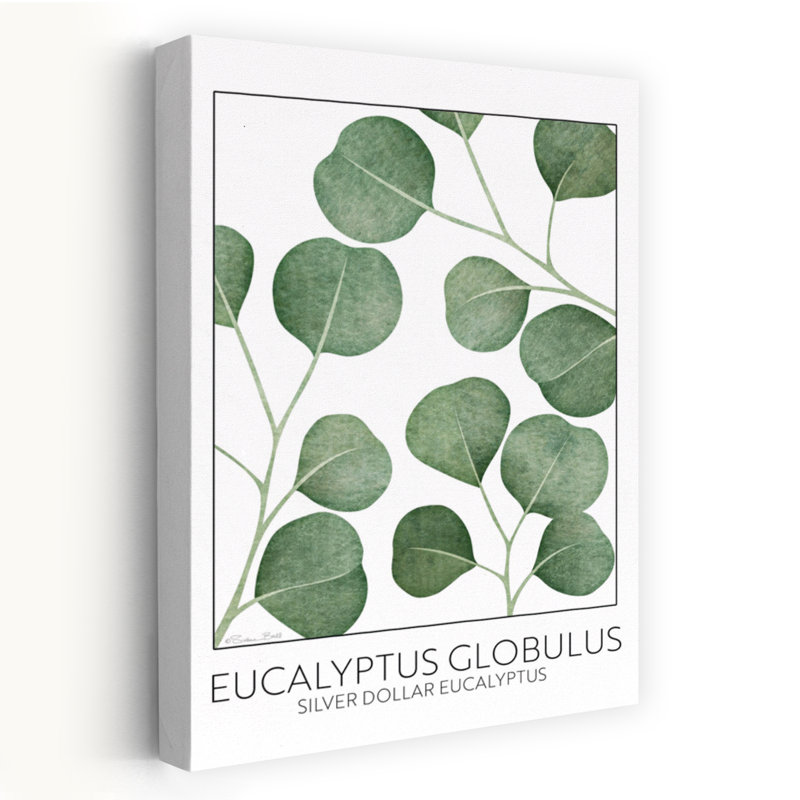 Eucalyptus argenté argenté, art contemporain abstrait, H 24 po x l 16 po