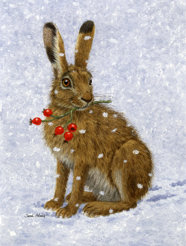 Rosehips à 2 côtés 40 x 28 po de lapin lièvre et de polyester drapeau maison