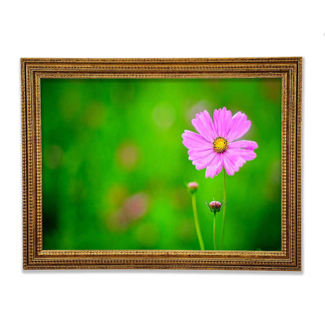 Gerahmtes Leinwandbild Pink Flower Green Background