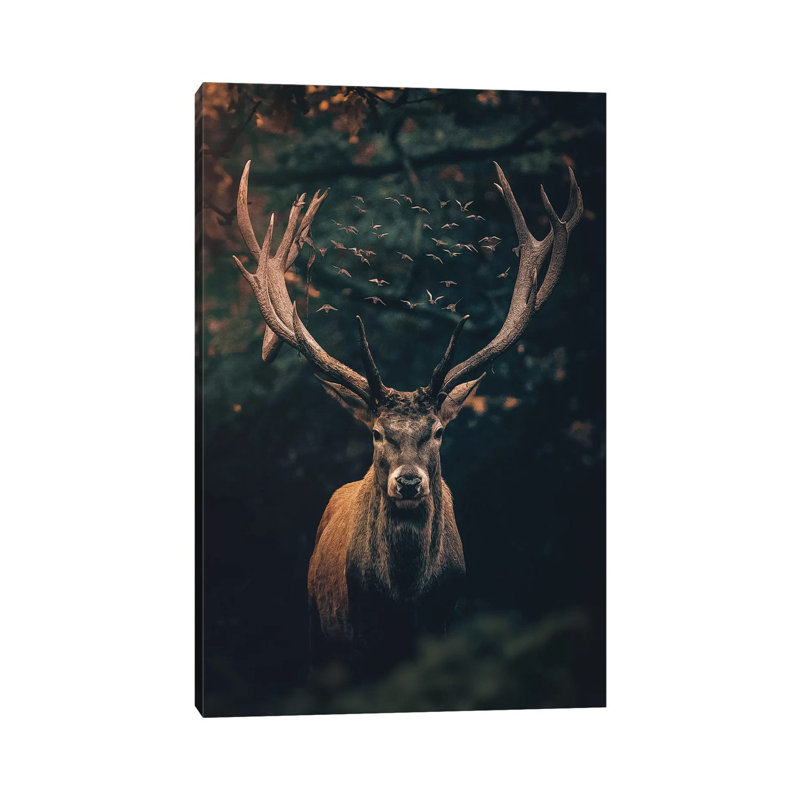 The Moody Deer by Zenja Gammer - Print on Canvas, 30.48 cm H x 45.72 cm W, Wrapped Canvas
