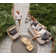 Strington Teak Patio Chair with Cushions