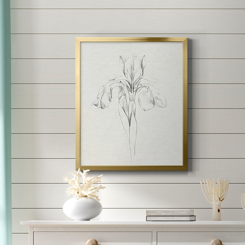 «Neutral Iris S croquis I», toile encadrée de qualité supérieure - prête à être accrochée, Or, H 20 po x l 16 po