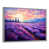 Silver Floater Framed