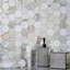 Zebra Hexagonal Tile-51969255