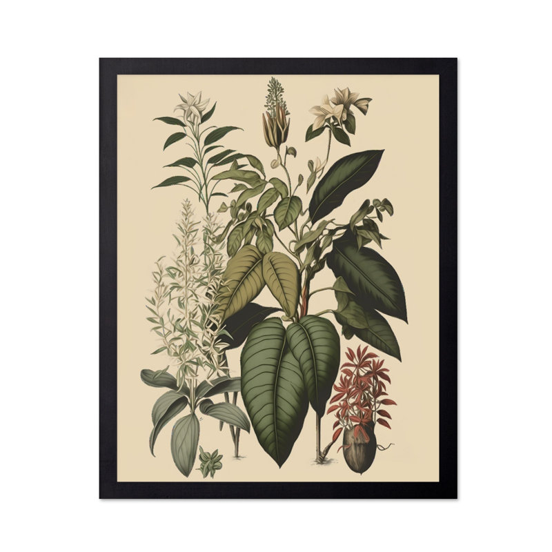 Fleur sauvage n ° 2, Sans cadre, Affiche, H 08 po x l 10 po